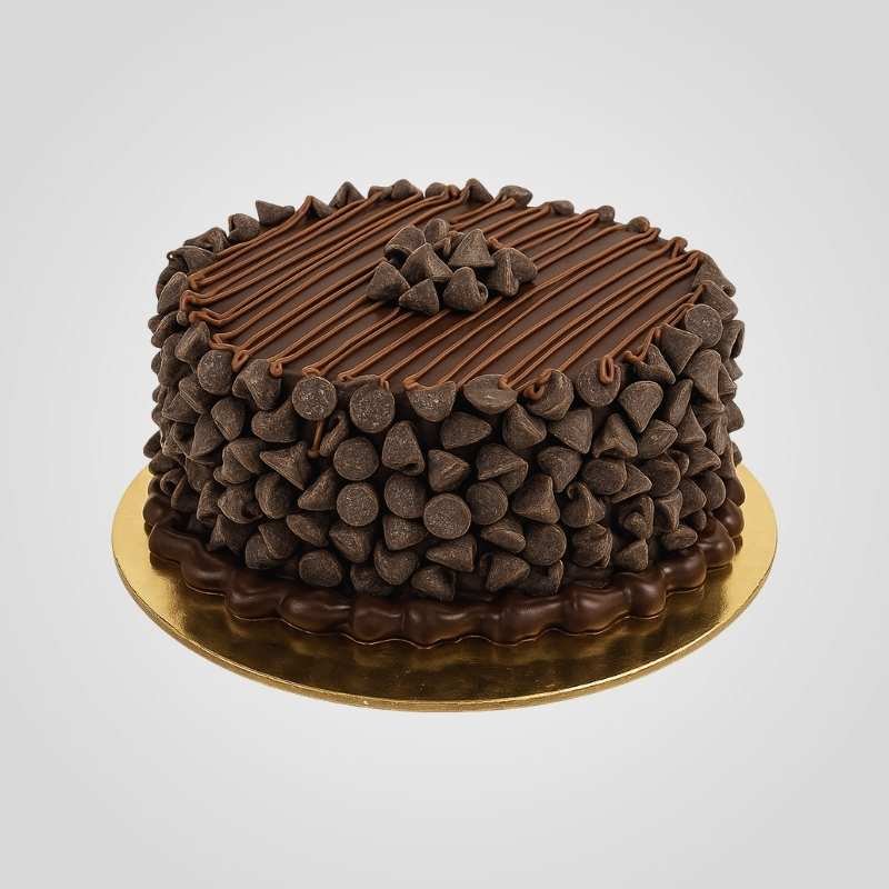 Choco Chips Cake Choco Chips Cake