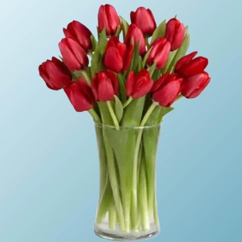 Red-Tulip-Vase Red-Tulip-Vase
